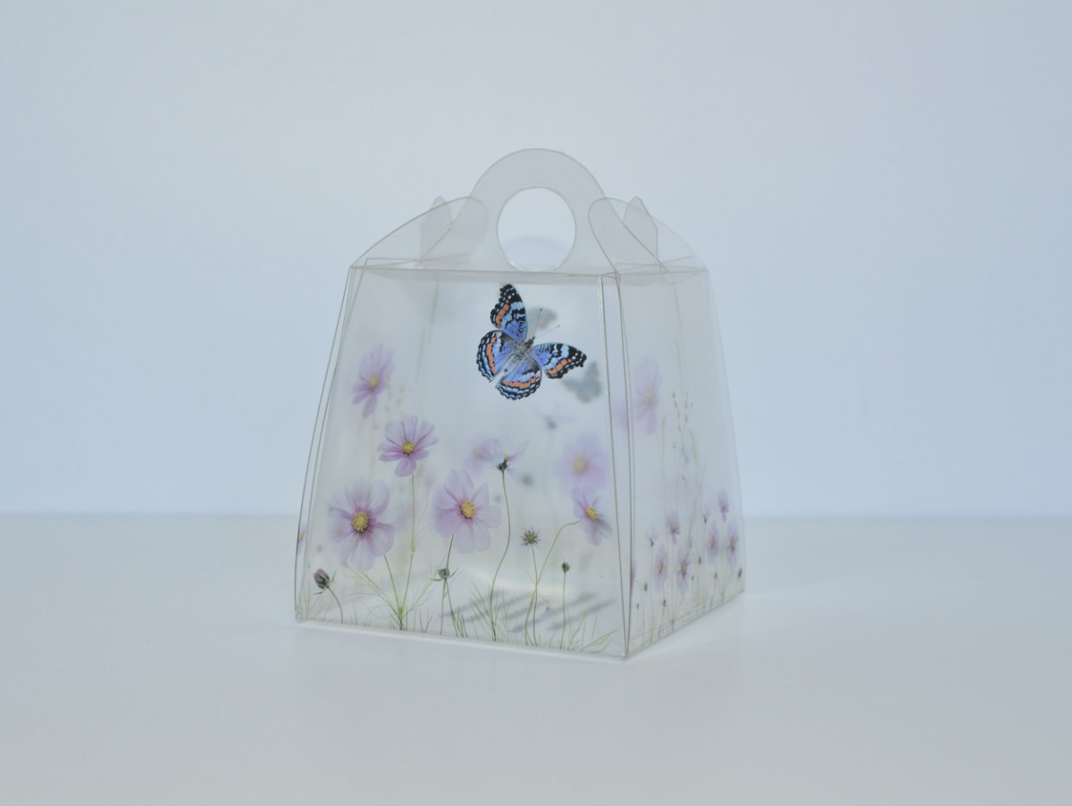 CRYSTAL №11